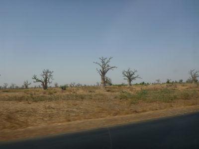 World Borders: My Crazy Adventure from Dakar in Senegal to Serrekunda, The Gambia Waiting at the sept-place section in Dakar