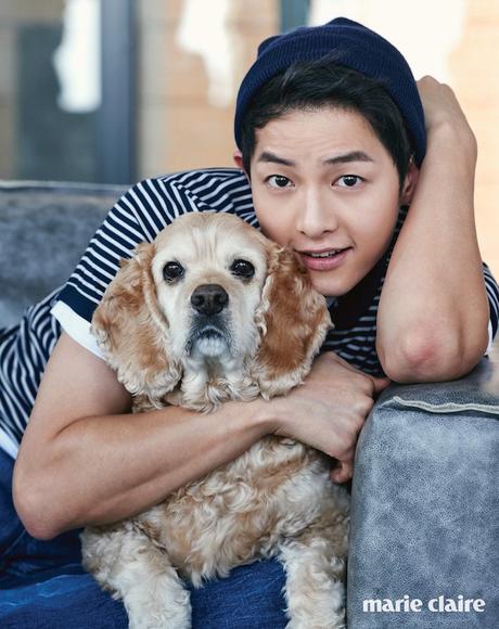 Song Joong Ki Marie Claire June 2016 Song Joong Ki, Song Joong Ki Marie Claire, Song Joong Ki Marie Claire 2016, Descendants of the Sun, 송중기, SongSong Couple, Song Joong Ki and Song Hye Kyo, 태양의후예