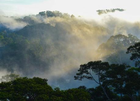 The Three Faces of Brunei Ulu Temburong, Top Attractions in Brunei Tourist Areas