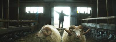 193. Icelandic director Grímur Hákonarson’s film “Hrútar” (Rams) (2015), based on his own original screenplay: Unusual tale of sibling hatred and bonding 193. Icelandic director Grímur Hákonarson’s film “Hrútar” (Rams) (2015), based on his own original screenplay: Unusual tale of sibling hatred and bonding