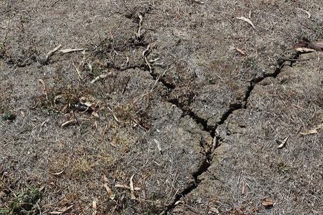 essay on effects of soil erosion