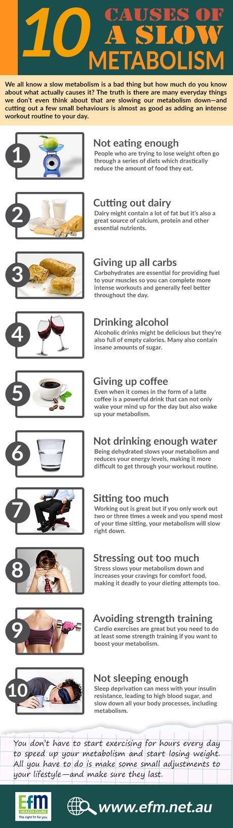 Does Alcohol Speed Up Or Slow Down Metabolism