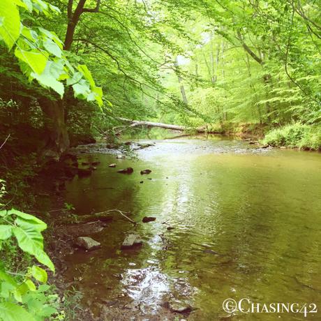 Ridley Creek State Park offers some gorgeous hiking! 