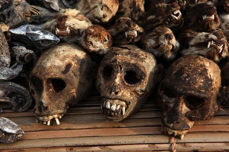 Voodoo- The world’s most misunderstood religions. Voodoo- The world’s most misunderstood religions.
