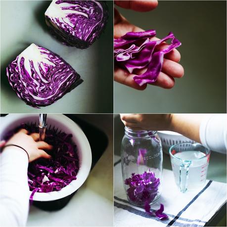 Fermented Vegetables + Natural Probiotics Fermenting Red Cabbage (Vegan) (Raw)