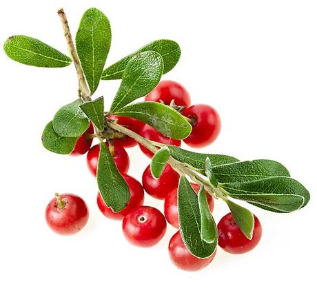 Whiten Skin with Bearberry Extract