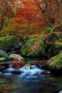 autumn river
