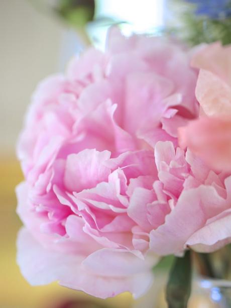 In A Vase On Monday – Just Loving The Peonies!