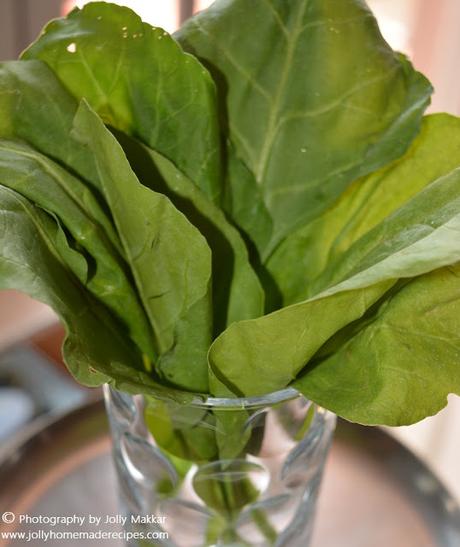 Palak Idli Recipe, How to make Healthy Spinach Idli Recipe