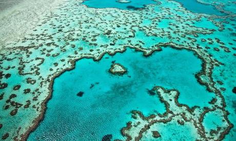 To save the Great Barrier Reef ‘we need to start now, right now’ – video | Environment | The Guardian
