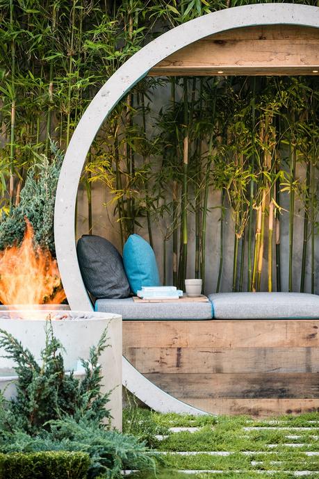 Garden of the week – Pipe Dream Pipe Dream