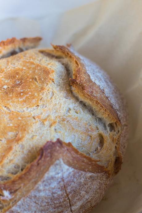 Artisan Bread in 5 Minutes a Day – The Only Recipe You Need