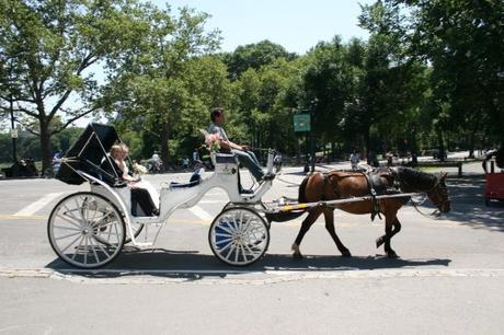 bride and groom with horse and carriage in central park