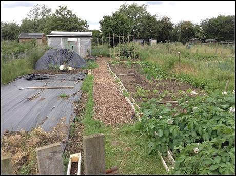 An allotment. Yes or No?