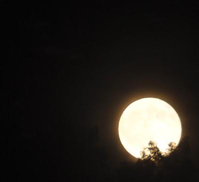 Summer Solstice Full Moon on the Rise
