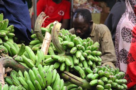 Matoke for sale in Kampala Market