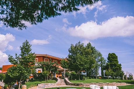 Romantic vineyard wedding winery-wedding (3)