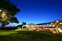 Romantic vineyard wedding KOKOTOU ESTATE (ATHENS)