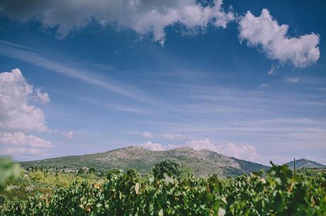 Romantic vineyard wedding winery-wedding (2)
