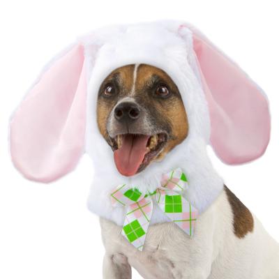 Four Cute Dogs To Brighten Your Easter