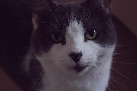 What I'm Loving What I'm Loving