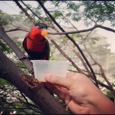 First Thing... Singapore First Thing... Singapore