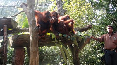 First Thing... Singapore First Thing... Singapore