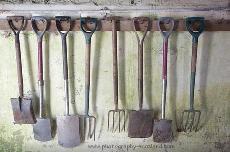 Photo - garden forks and spades hanging on a shed wall