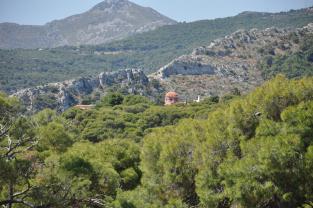 Aegina landscape