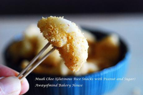 Muah Chee (Glutinous Rice Snacks with Peanut and Sugar)