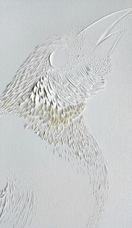 Paper Poetry - Carved Paper Works by Domitilla Biondi Paradise Bird by Domitilla Biondi