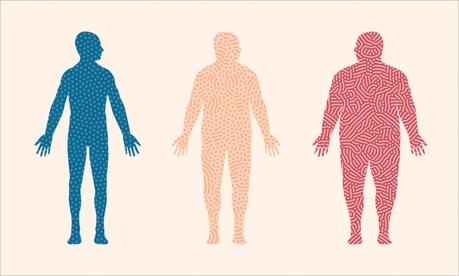 Health: Can Your Gut Biome Make You Fat?