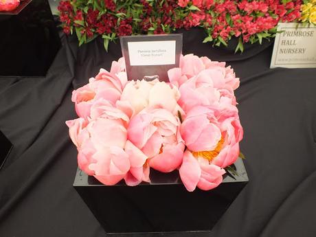 RHS Hampton Court Flower Show 2016 - Floral Marquee
