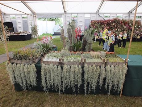 RHS Hampton Court Flower Show 2016 - Floral Marquee
