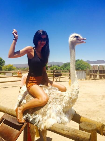 Ostrich Riding in Oudtshoorn, South Africa