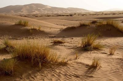 Morocco Odyssey 20: The Sahara Desert (iii)