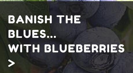 Banish the Blues… with Blueberries! Banish the Blues… with Blueberries!