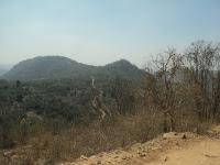 124) Bilikal Rangaswamy betta – Forest Ride: (23/2/2016)