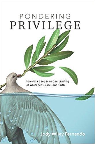 Pondering Privilege – a Book Review
