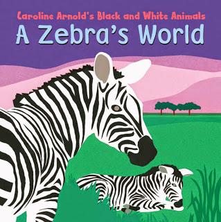 Listen to A ZEBRA'S WORLD on YouTube