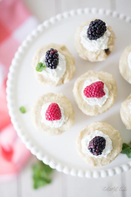 100+ Paleo Berry Recipes 100+ Paleo Berry Recipes