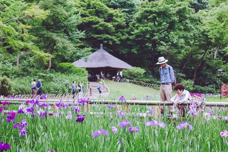Adventures in Japan | Tokyo japan-30