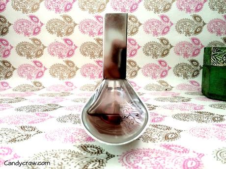 Calvin Klein Euphoria Review Calvin Klein Euphoria Review