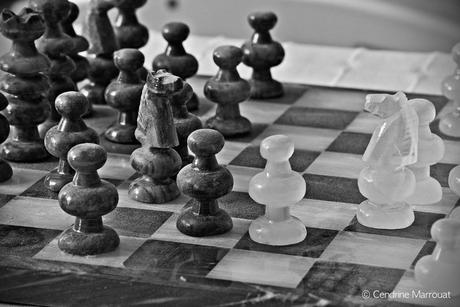 Playing chess Playing chess