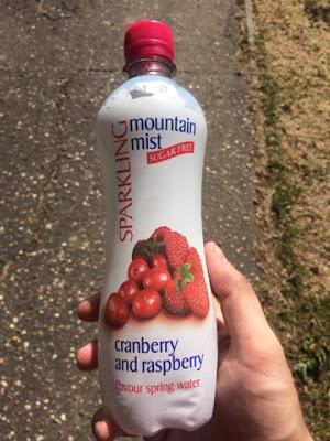 Today's Review: Mountain Mist Cranberry And Raspberry