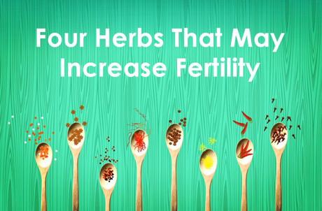 4 Herbs That May Increase Fertility