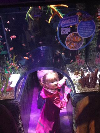 Finding Dory at Sealife Manchester
