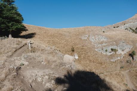 An Intimate & Alternative Hawkes Bay Wedding by Melissa Mills Photography