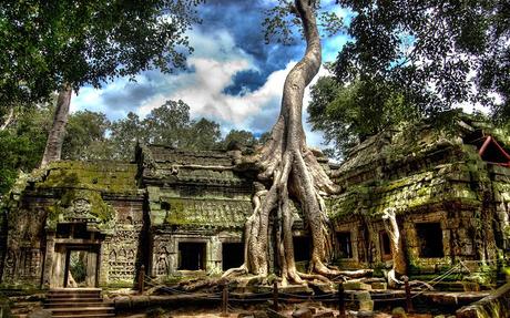 Ta Prohm – locating southwest of the East Mebon and east of Angkor Thom.