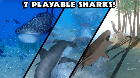Ultimate Shark Simulator v1.1 APK Download + MOD + Data for Android